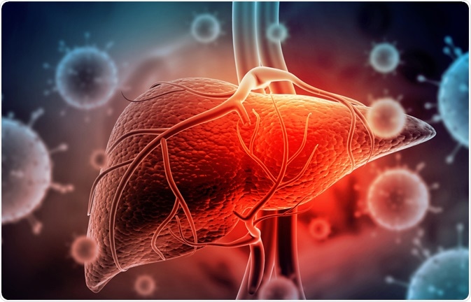 Viral and Non-Viral Hepatitis