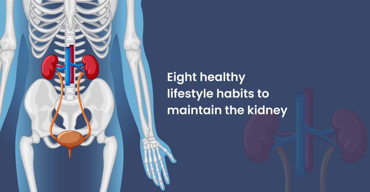 habits to maintain the kidney